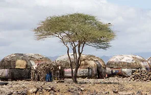 Palabra como lluvia para los habitantes del desierto de Gabra