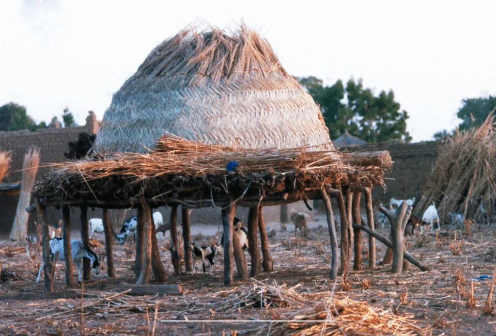 El amor de Cristo por los fulani