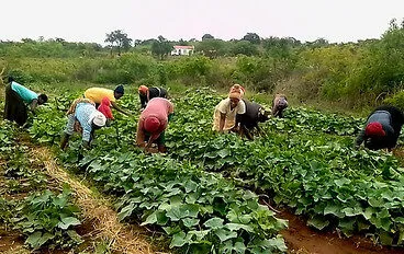 Jesús está restaurando la esperanza frente al VIH en Zimbabue.