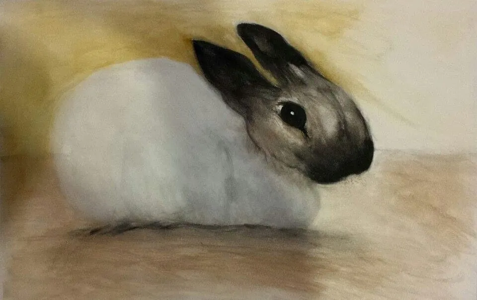 En sus memorias Lifted, Cindylou Barclay muestra cómo Jesús usó el arte para sanar su trauma.