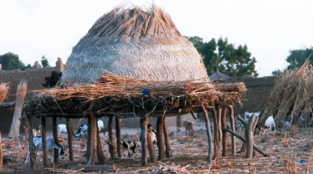 Alcanzando al pueblo fulani: Perspectivas de Jon Banke, experto de SIM en ministerios fulani