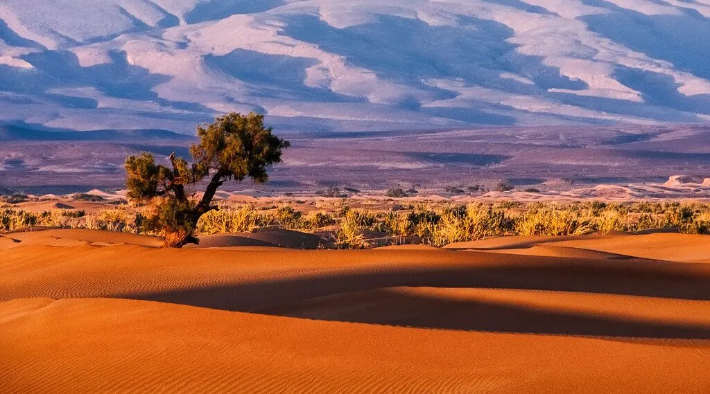 Voz de la verdad para los nómadas del Sahel