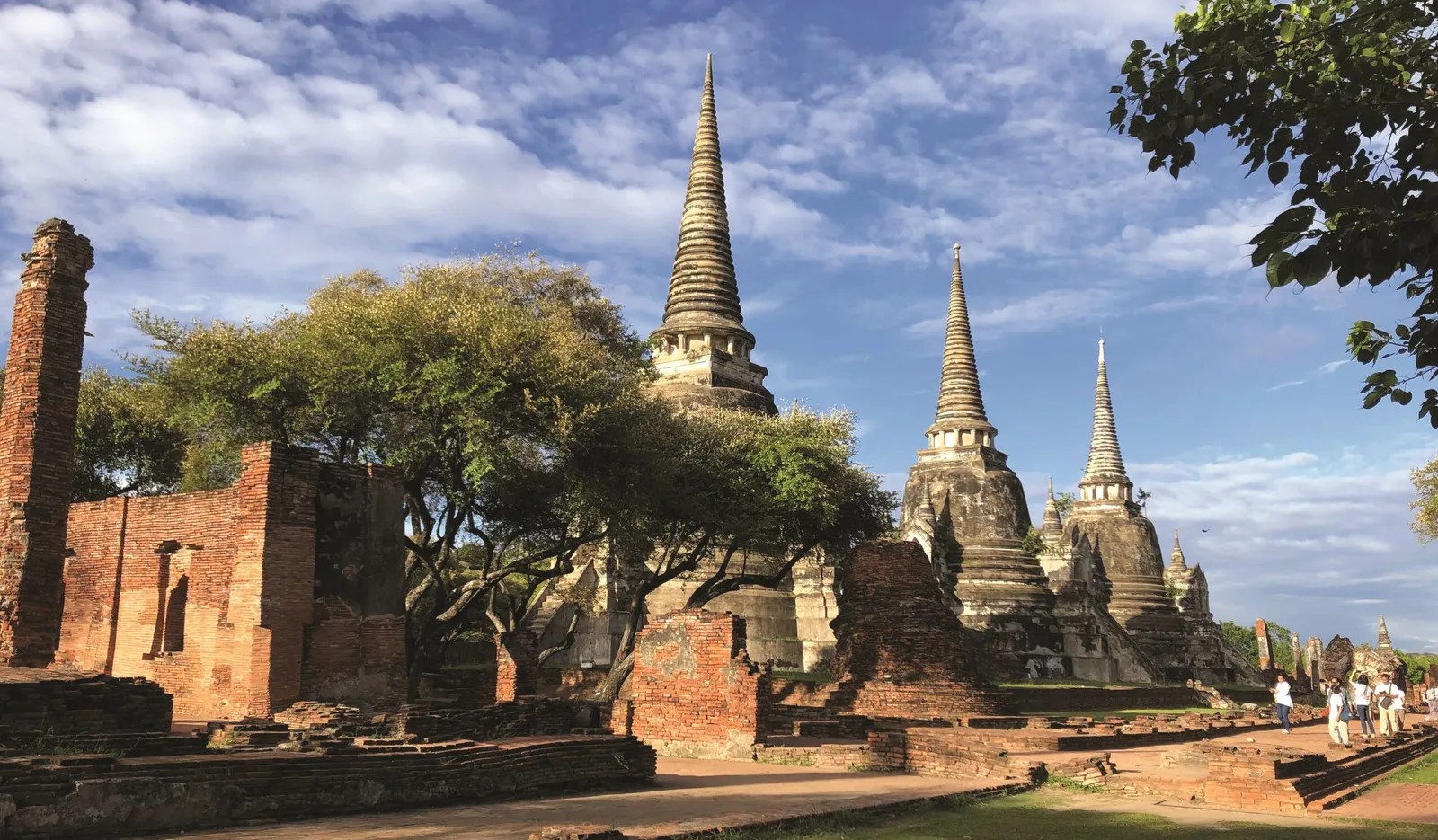 Un equipo de testigos fieles en Asia