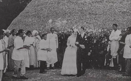 Semillas de esperanza