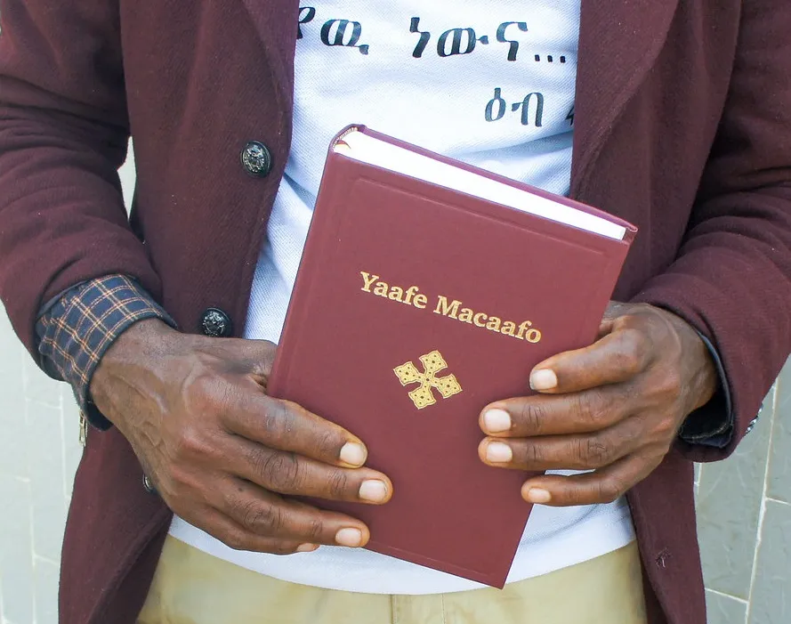 ¡Una nueva traducción de la Biblia!