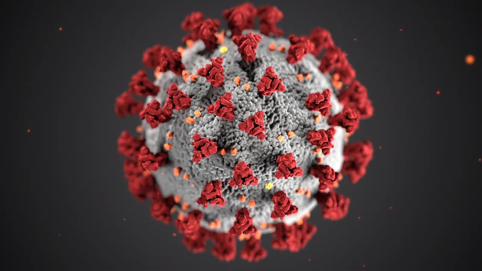 Coronavirus: Una carta del liderazgo de Sports Friends