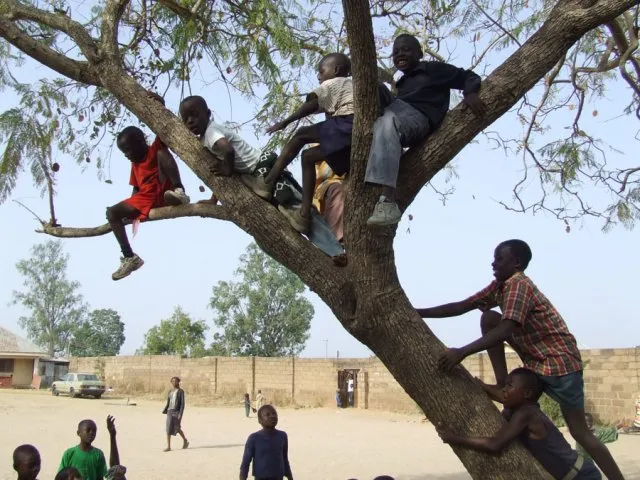 phoca_thumb_l_Nigeria__SamCasey_008